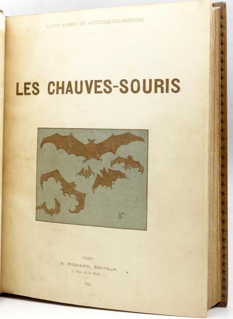 Les Chauves-Souris